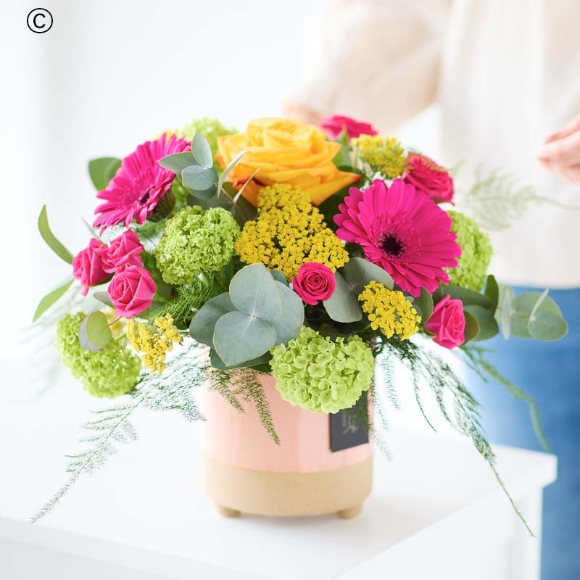 Special Bright Arrangement