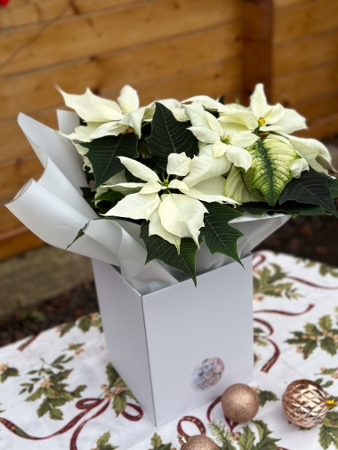 christmas-flower-bouquet-manchester-delivery-oldham